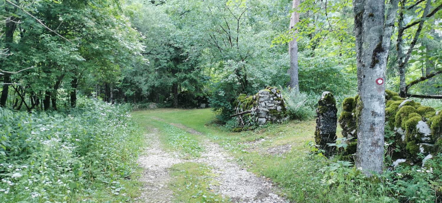 Bavšica - Planina Bala slika 4