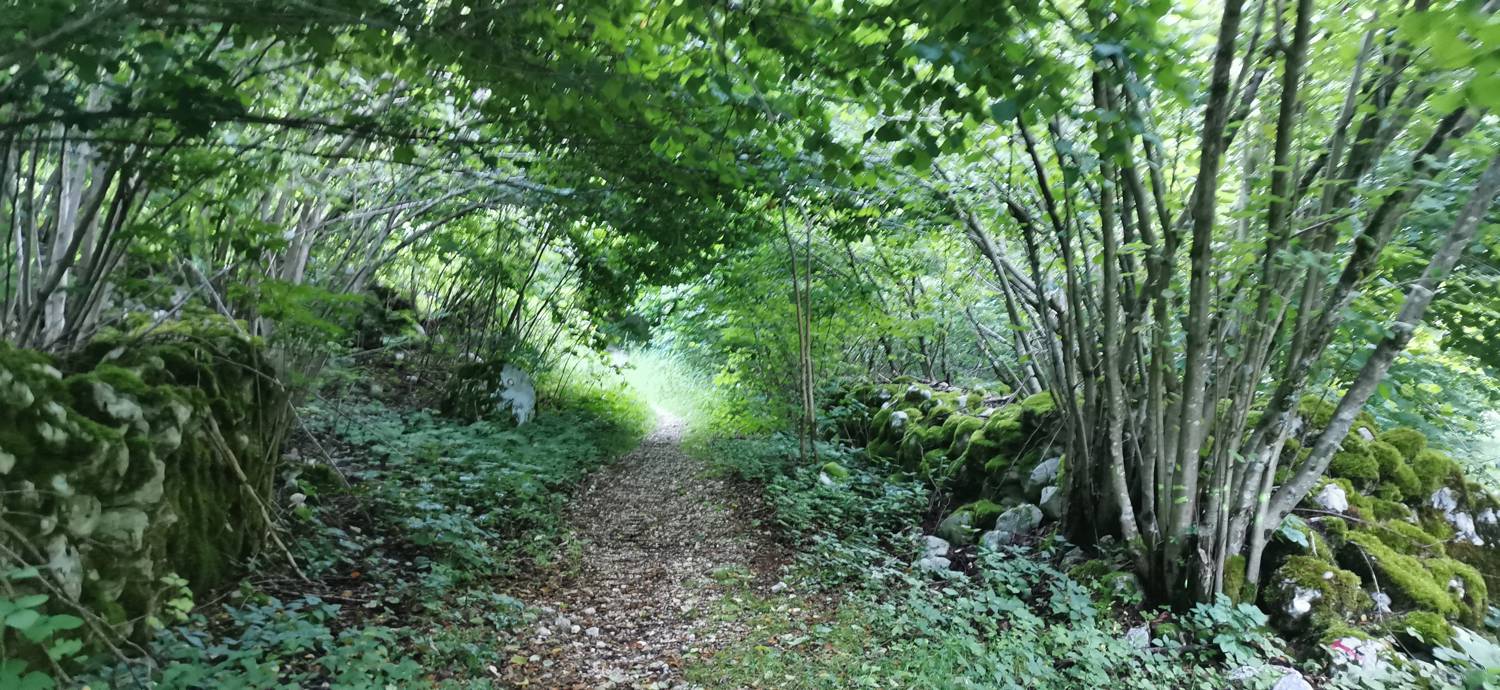 Bavšica - Planina Bala slika 7