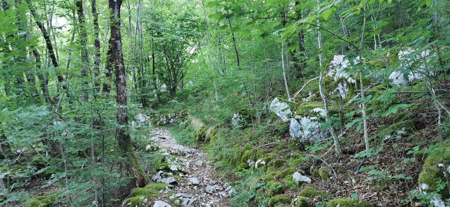 Bavšica - Planina Bala slika 12