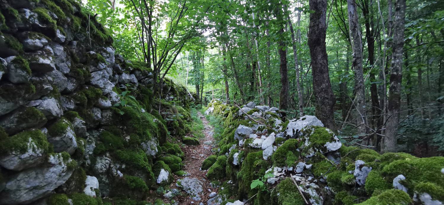 Bavšica - Planina Bala slika 14