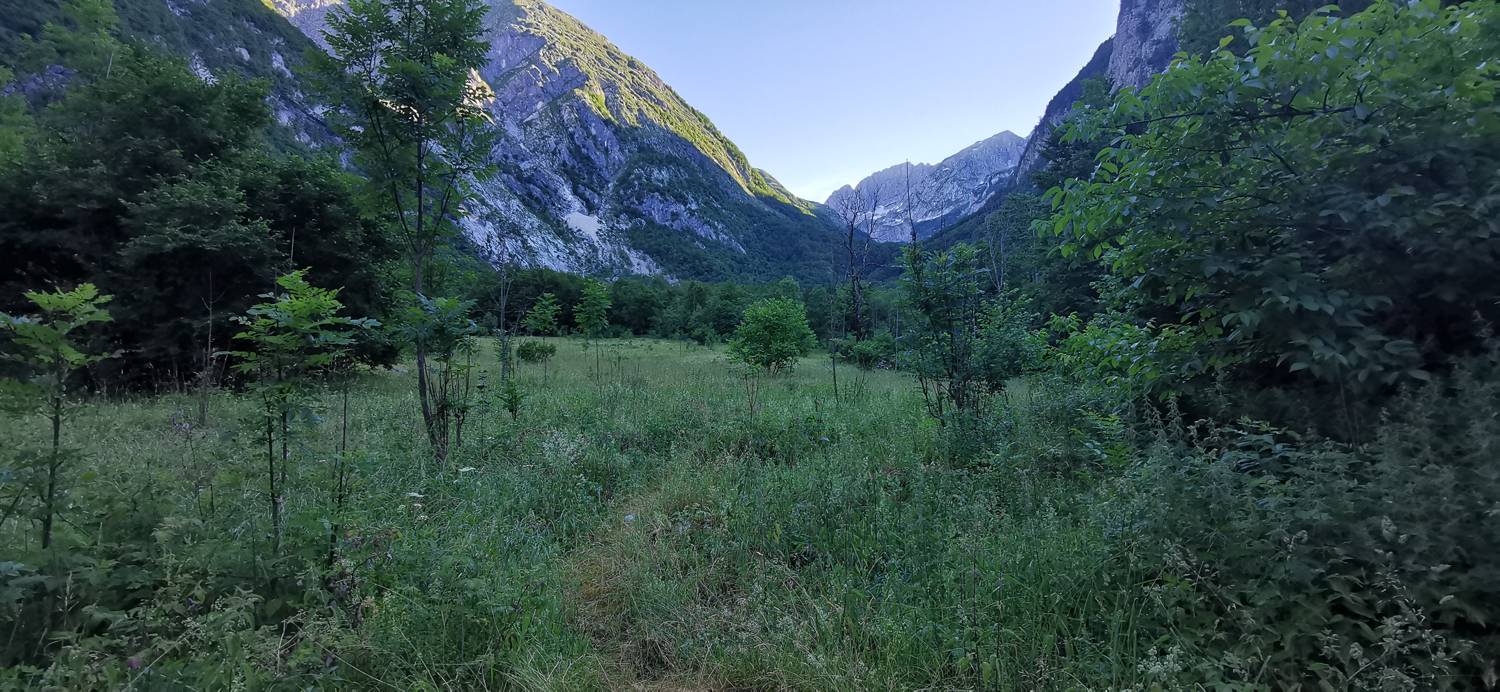 Bavšica - Planina Bala slika 15