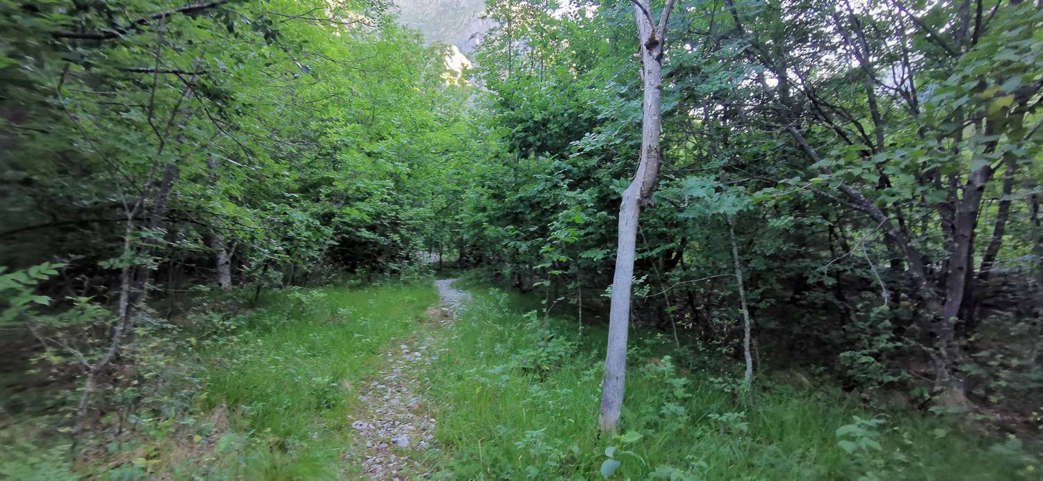 Bavšica - Planina Bala slika 16