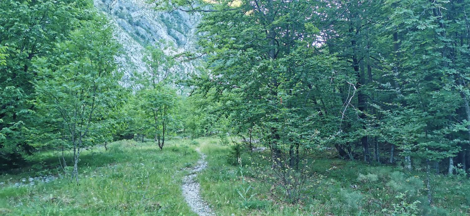 Bavšica - Planina Bala slika 17