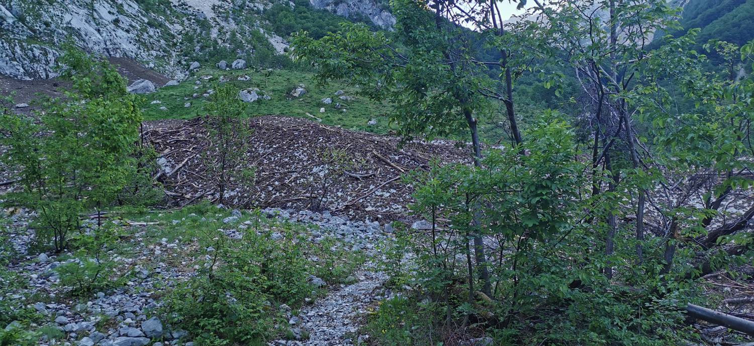 Bavšica - Planina Bala slika 18