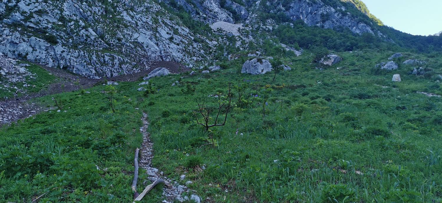 Bavšica - Planina Bala slika 19