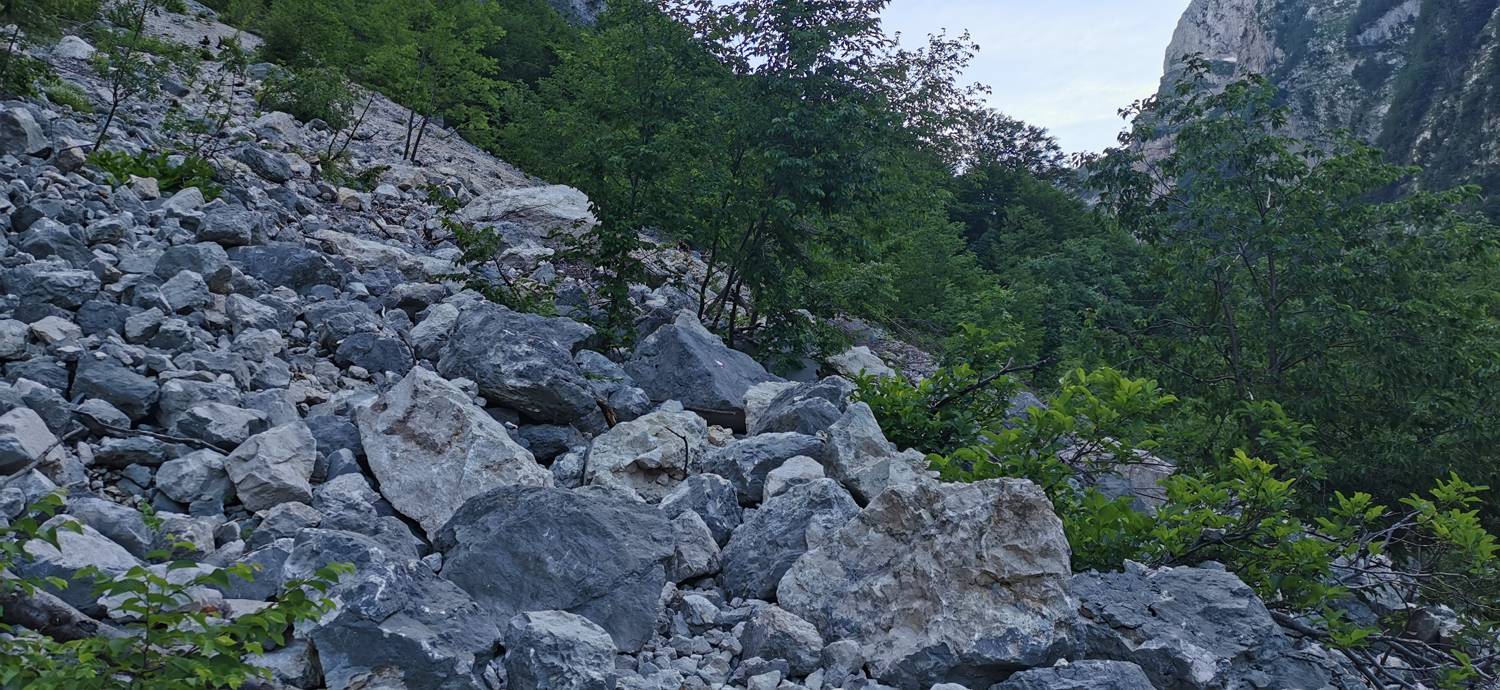 Bavšica - Planina Bala slika 21
