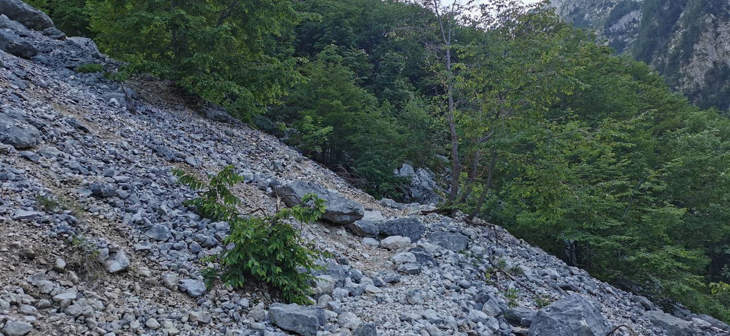 Bavšica - Planina Bala slika 22
