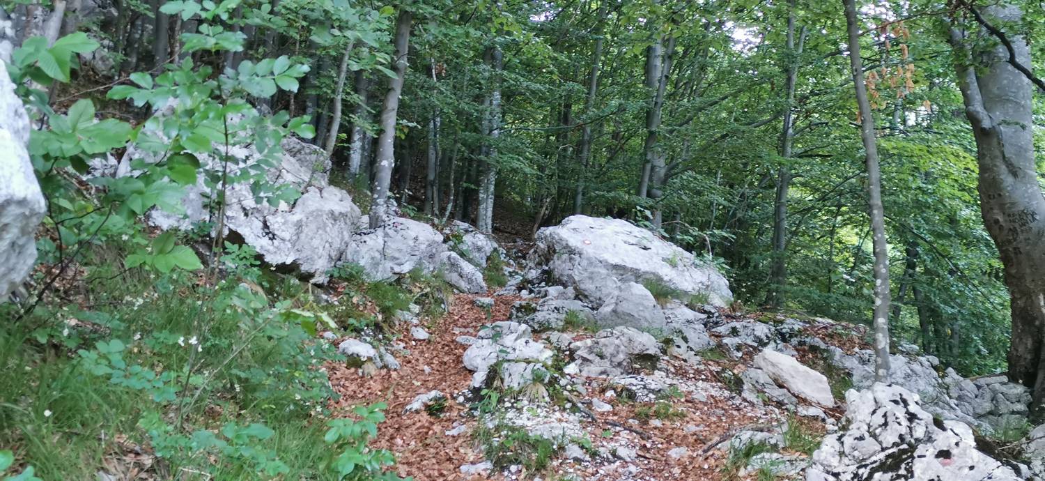 Bavšica - Planina Bala slika 23