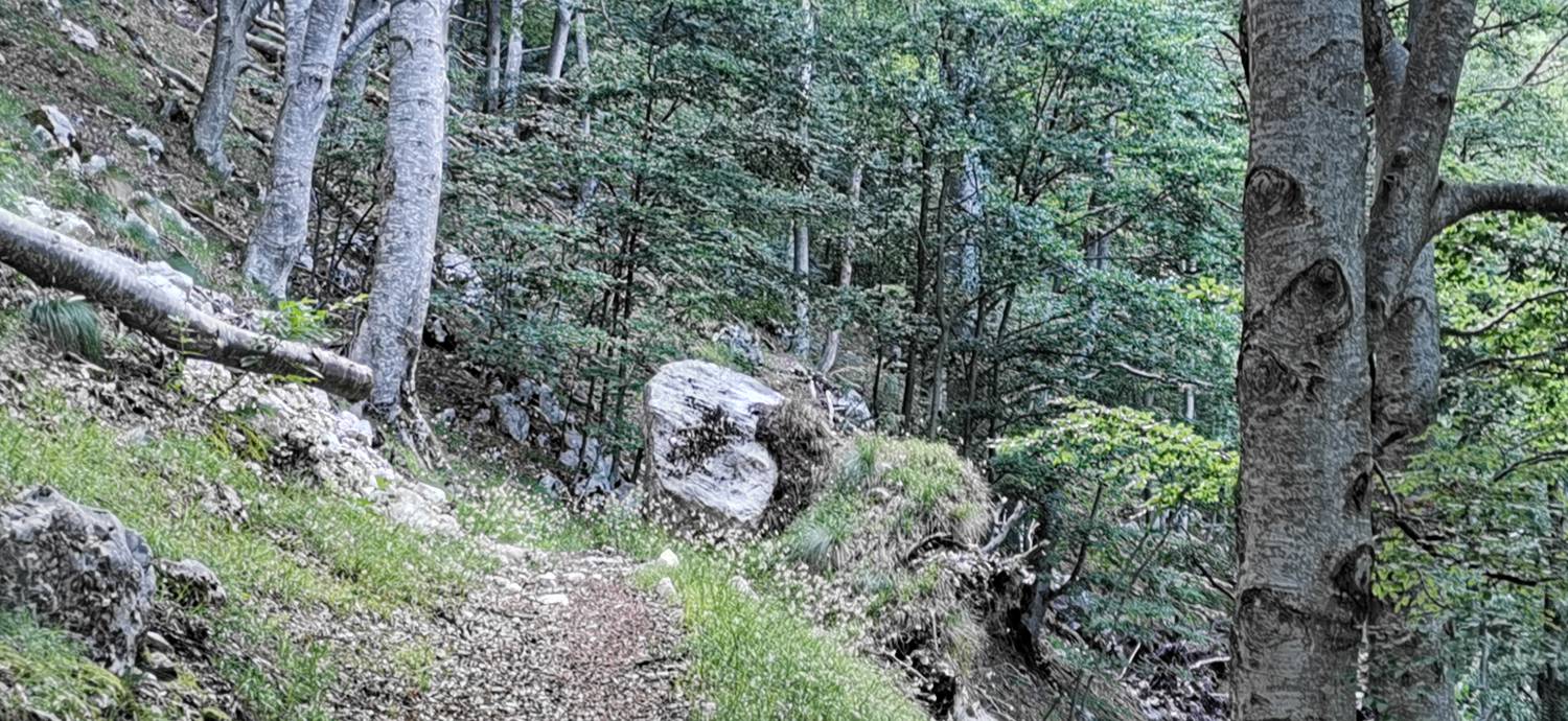 Bavšica - Planina Bala slika 26