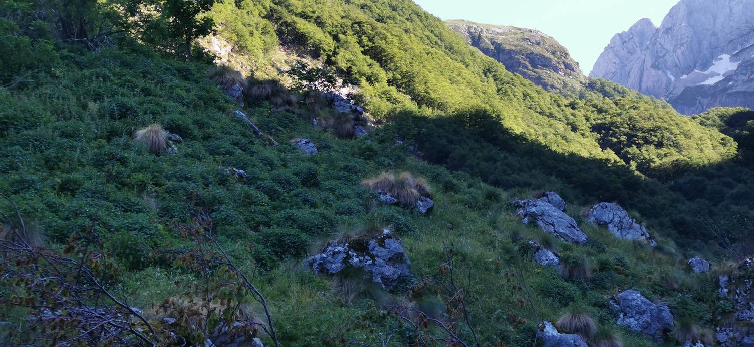 Bavšica - Planina Bala slika 30