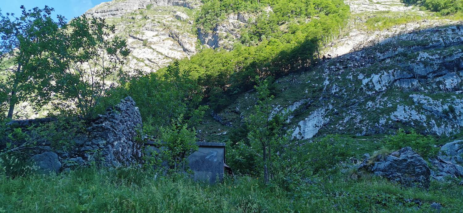 Bavšica - Planina Bala slika 31