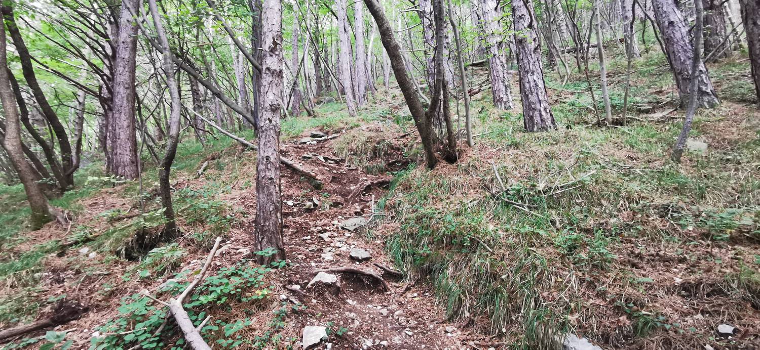 Lovska koča Budanje - Vzletišče Sončnica slika 7