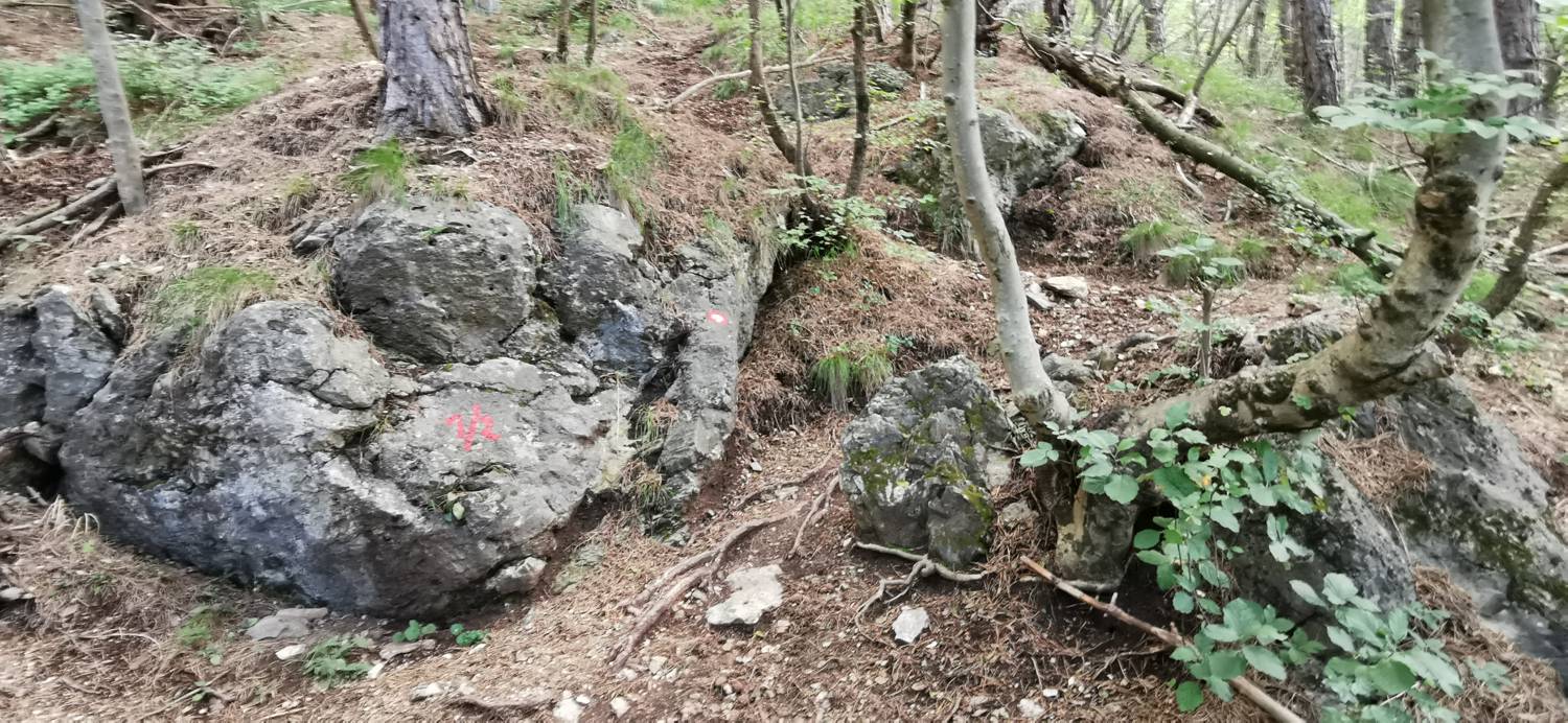 Lovska koča Budanje - Vzletišče Sončnica slika 13