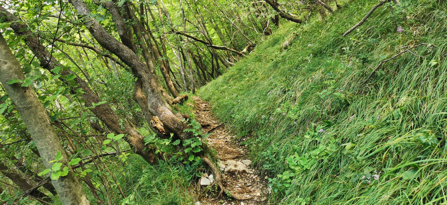 Lovska koča Budanje - Vzletišče Sončnica slika 22