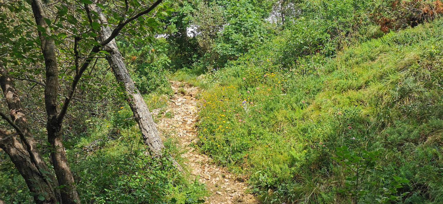 Lovska koča Budanje - Vzletišče Sončnica slika 27