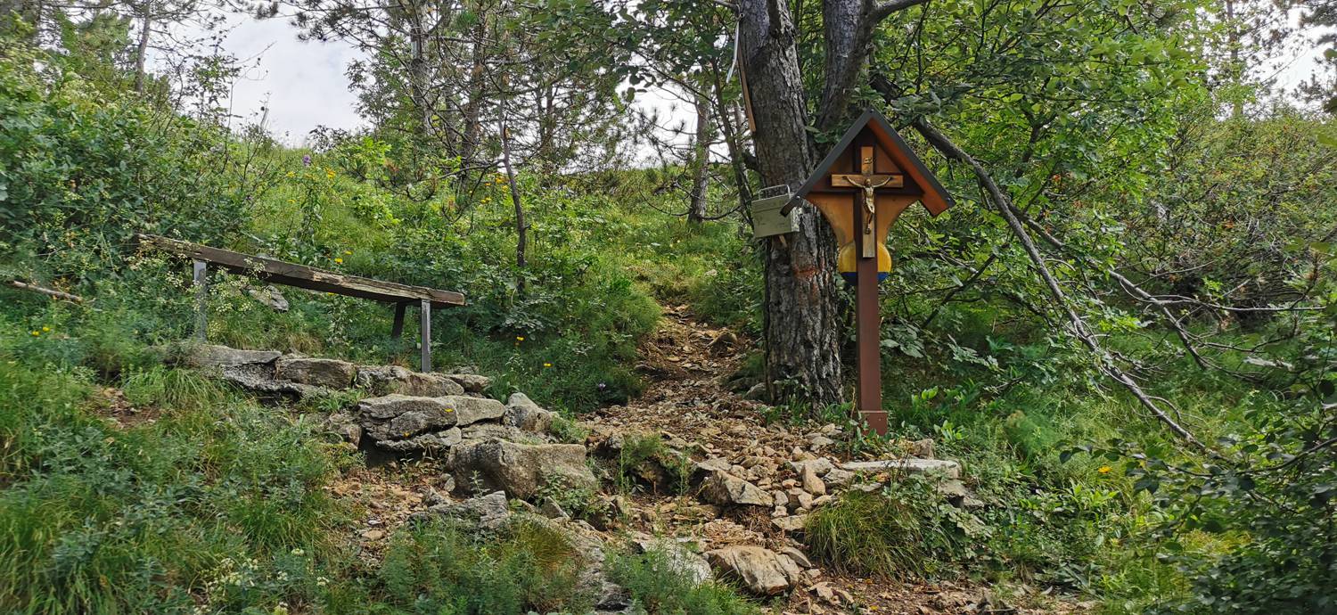 Lovska koča Budanje - Vzletišče Sončnica slika 28