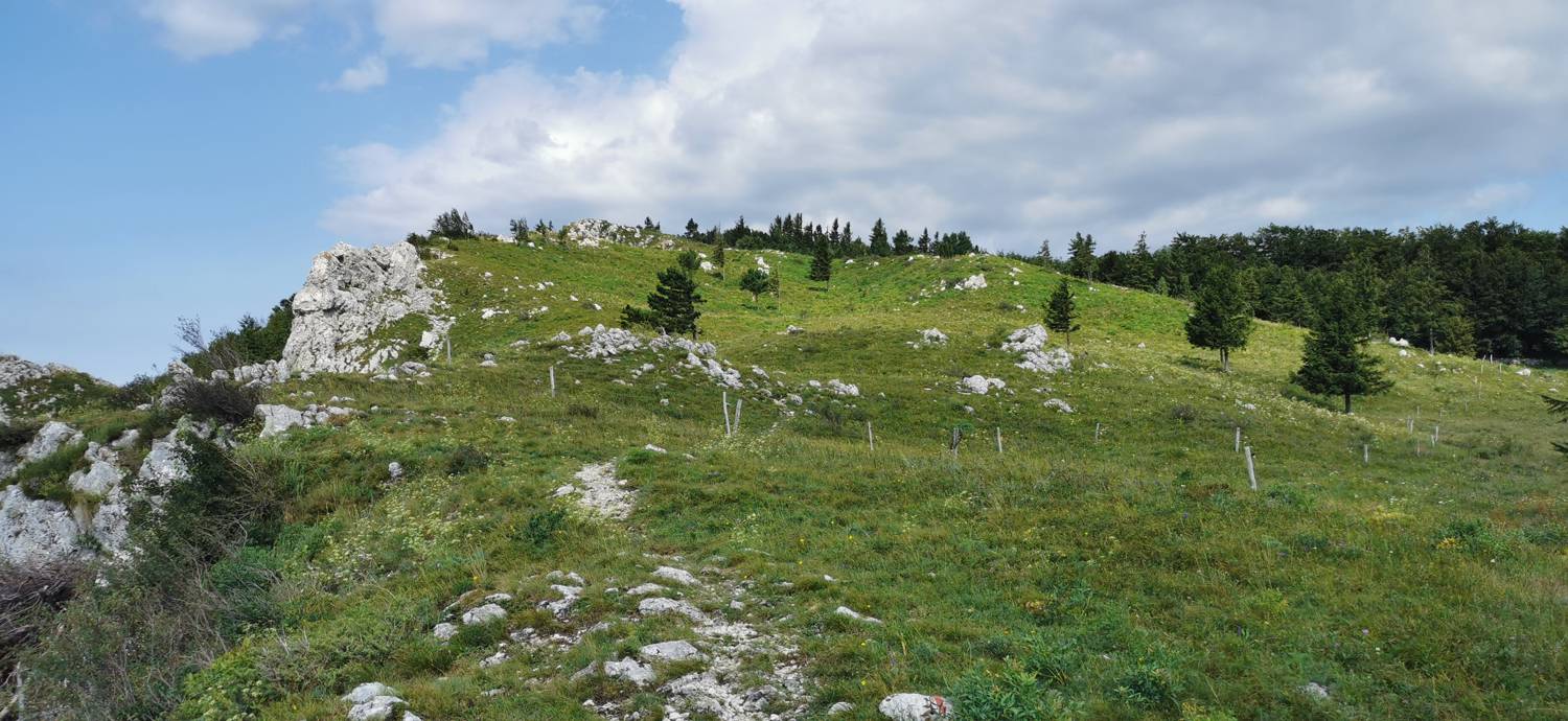 Lovska koča Budanje - Kraguljc slika 38