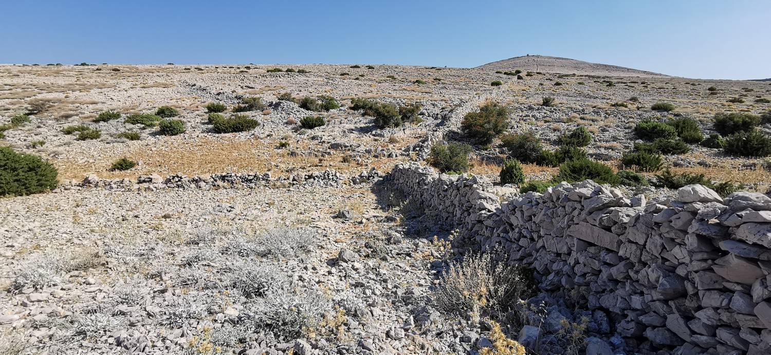 Kamp Šimuni - Sveti Vid slika 23