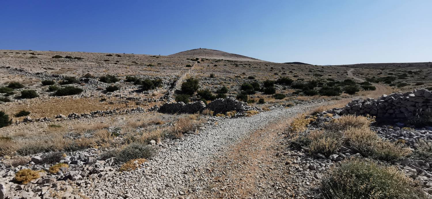 Kamp Šimuni - Sveti Vid slika 22
