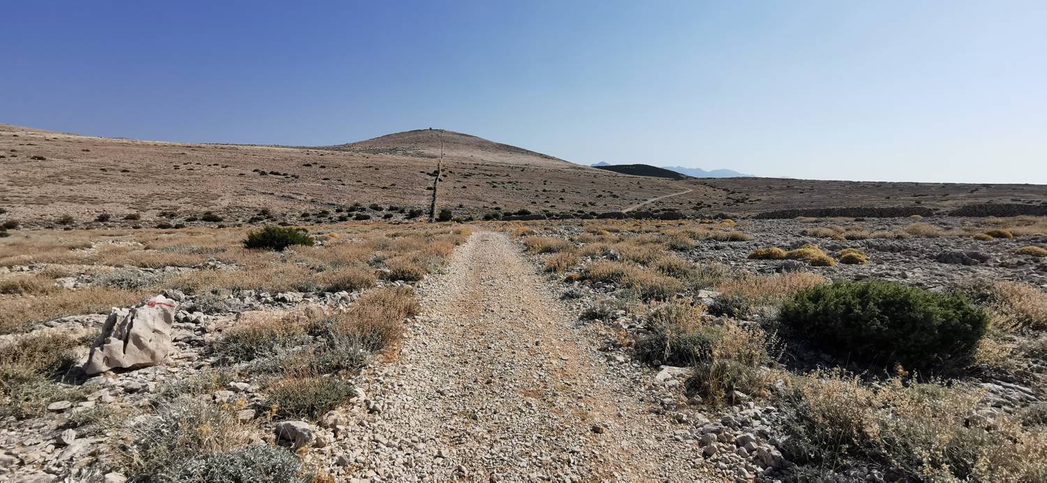 Kamp Šimuni - Sveti Vid slika 21