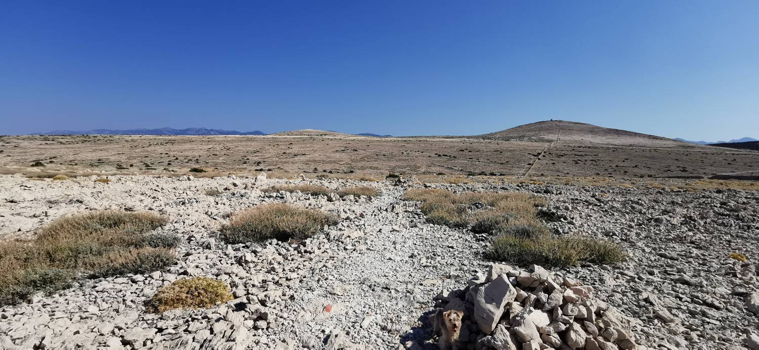 Kamp Šimuni - Sveti Vid slika 20