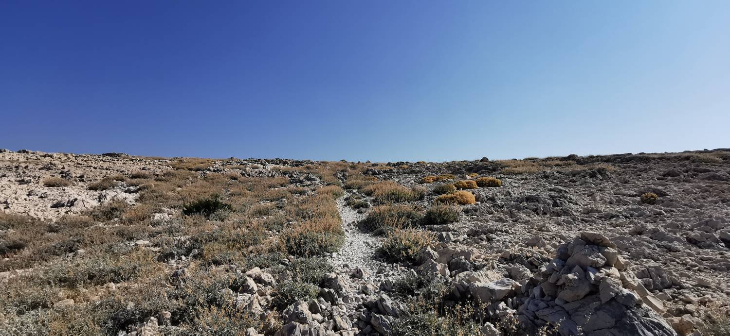 Kamp Šimuni - Sveti Vid slika 17