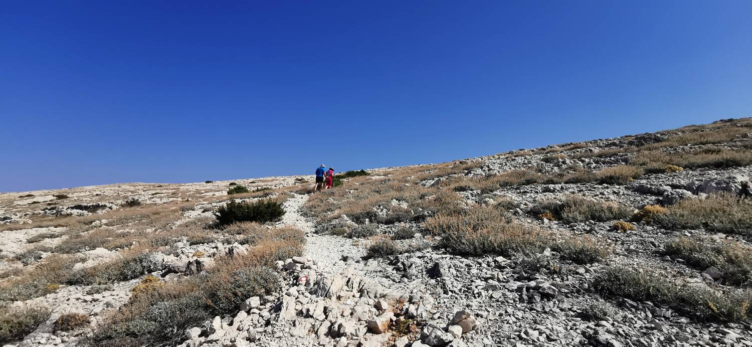 Kamp Šimuni - Sveti Vid slika 16