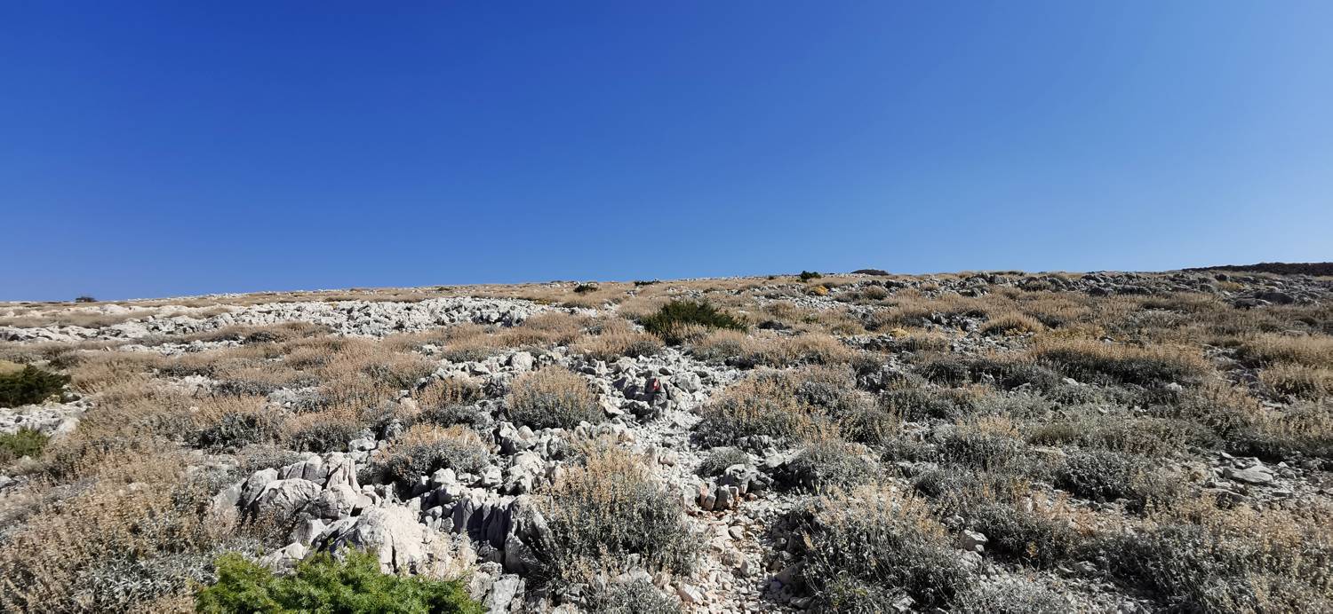 Kamp Šimuni - Sveti Vid slika 15