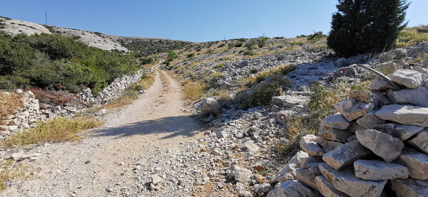 Kamp Šimuni - Sveti Vid slika 8