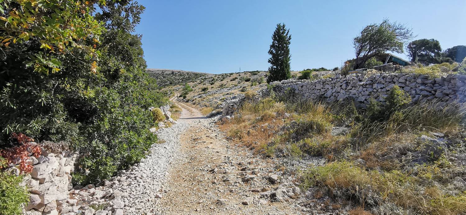 Kamp Šimuni - Sveti Vid slika 7