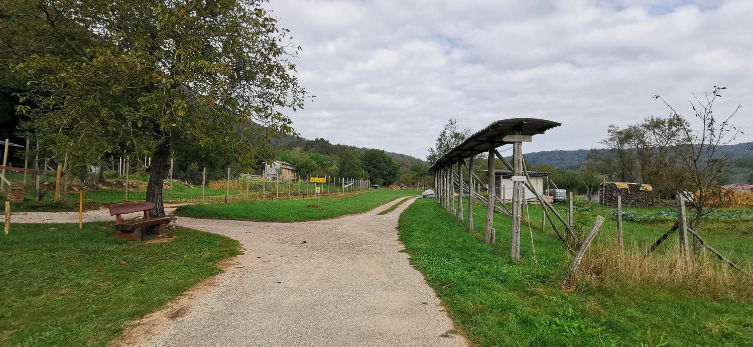 Grgar - Sveta gora slika 13