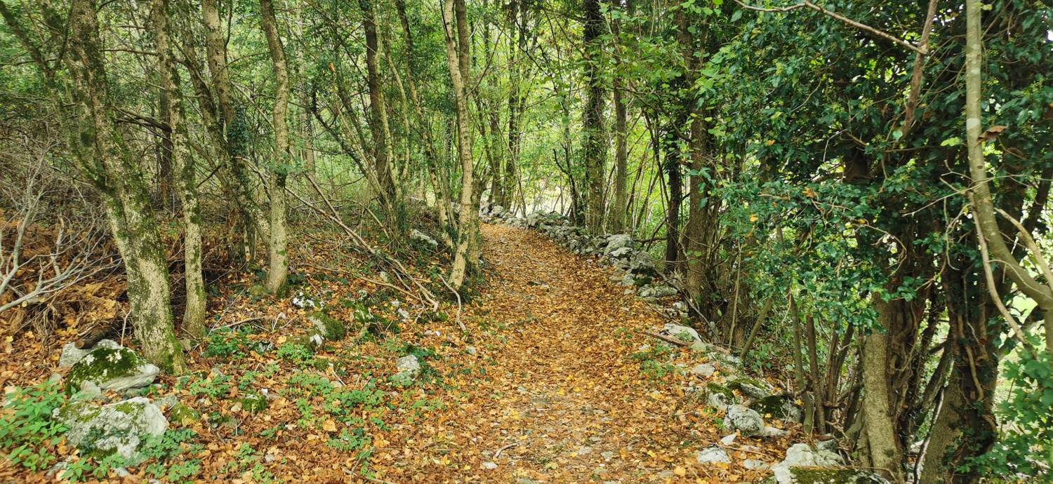 Grgar - Grgar slika 16