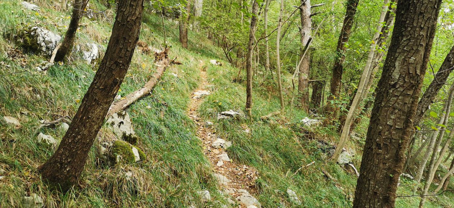 Grgar - Grgar slika 23