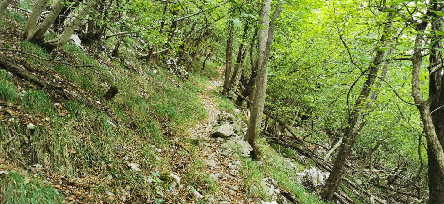 Grgar - Grgar slika 29
