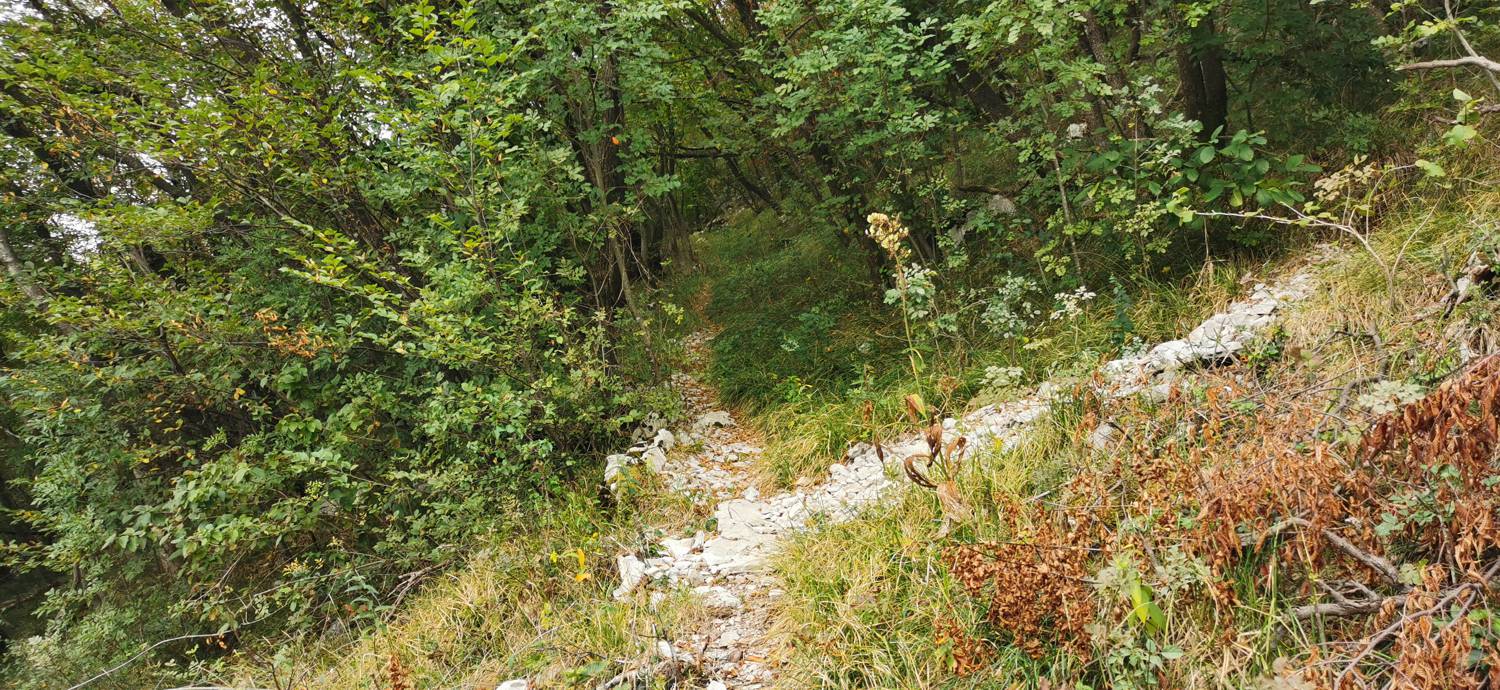 Grgar - Grgar slika 34