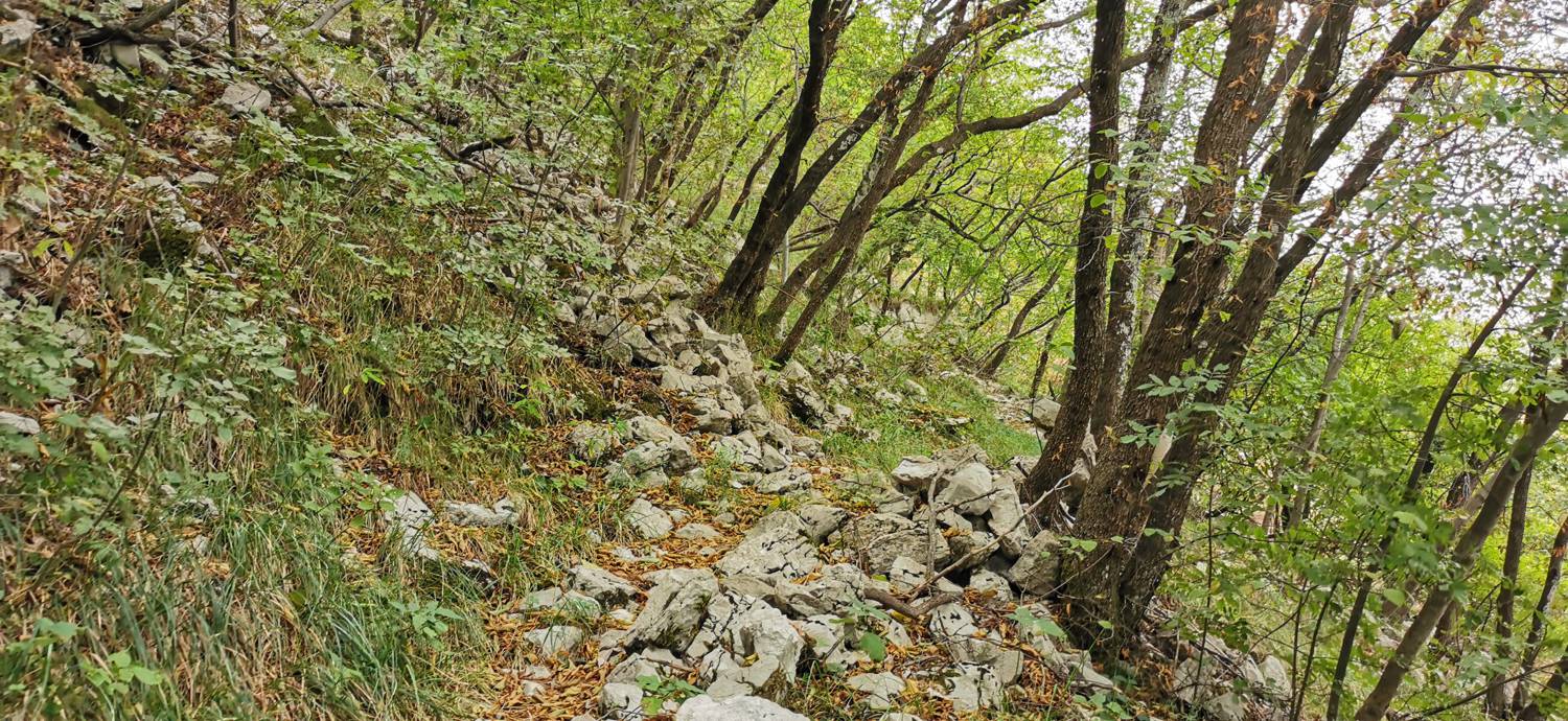 Grgar - Grgar slika 35