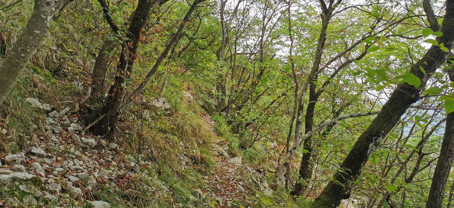 Grgar - Grgar slika 36