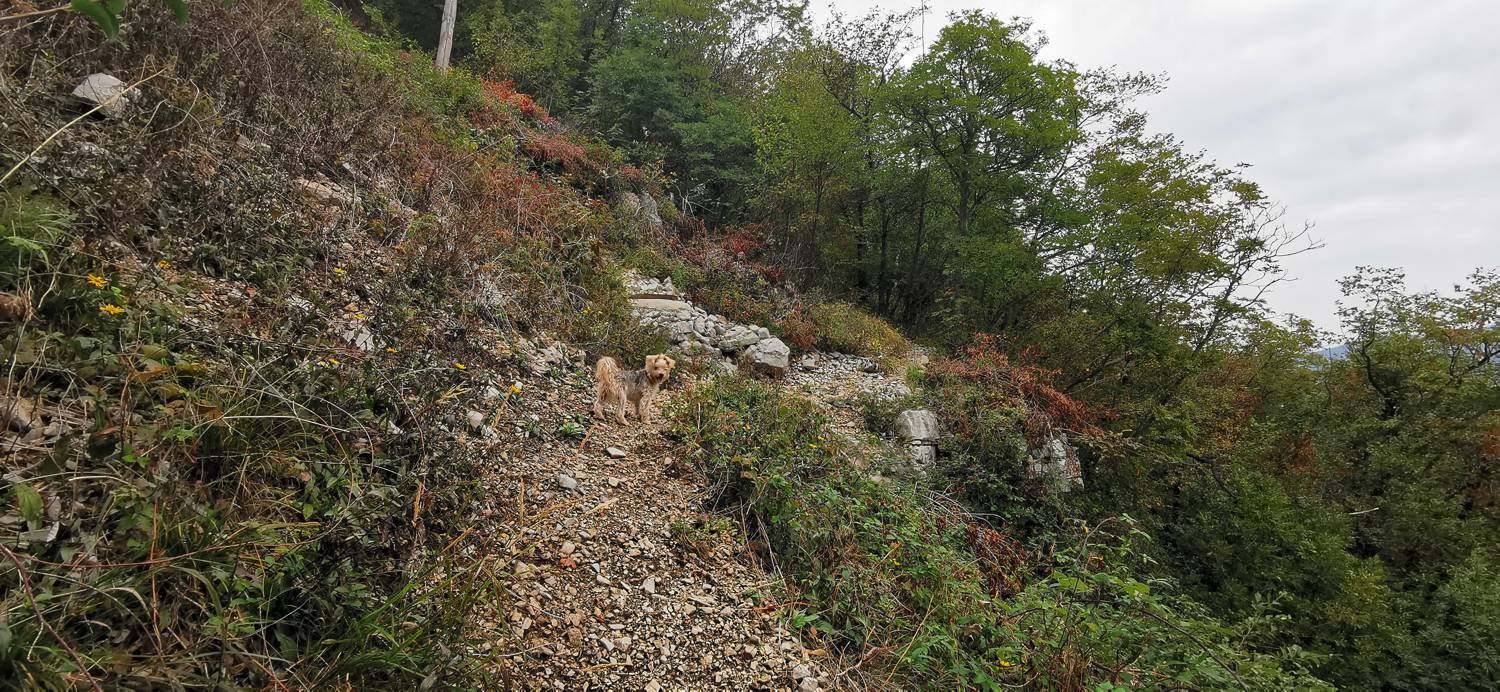 Grgar - Grgar slika 39