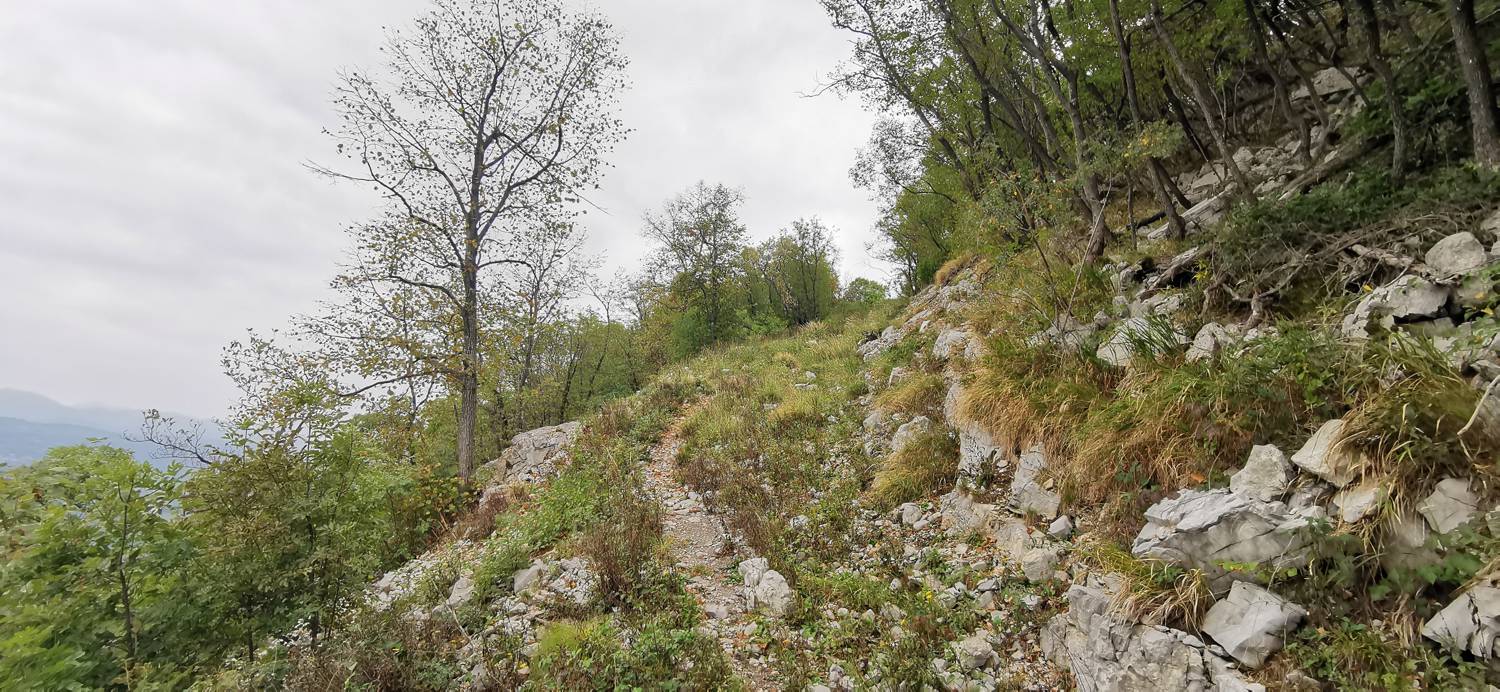 Grgar - Grgar slika 40