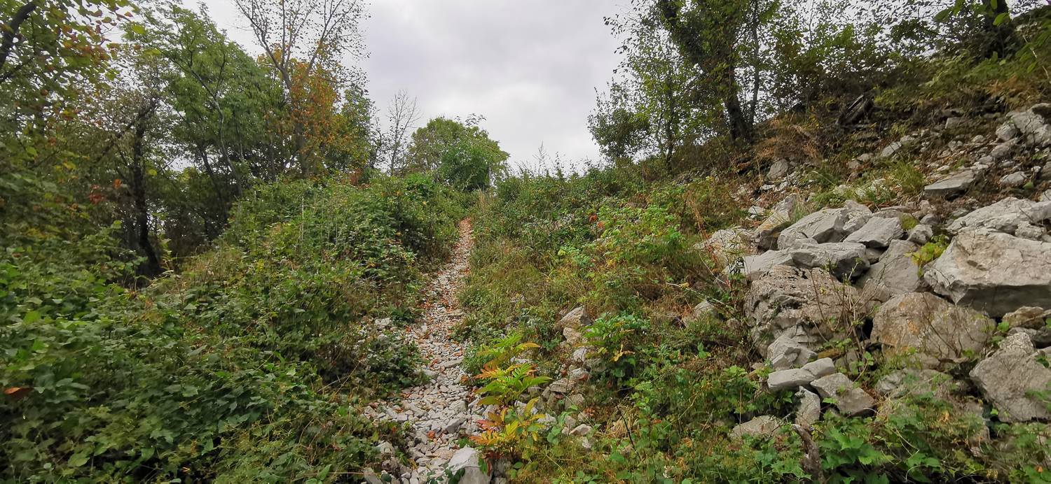 Grgar - Grgar slika 41
