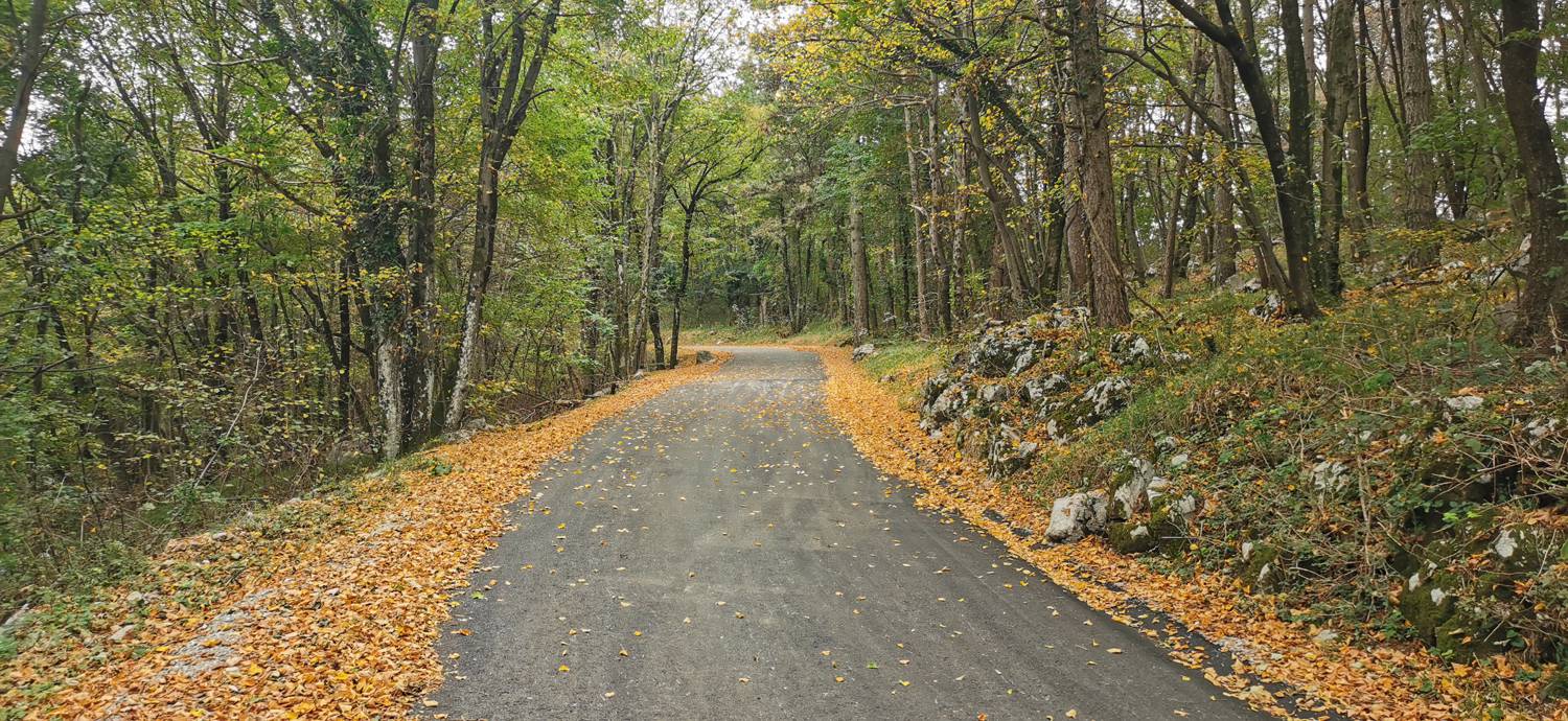 Grgar - Sveta gora slika 33