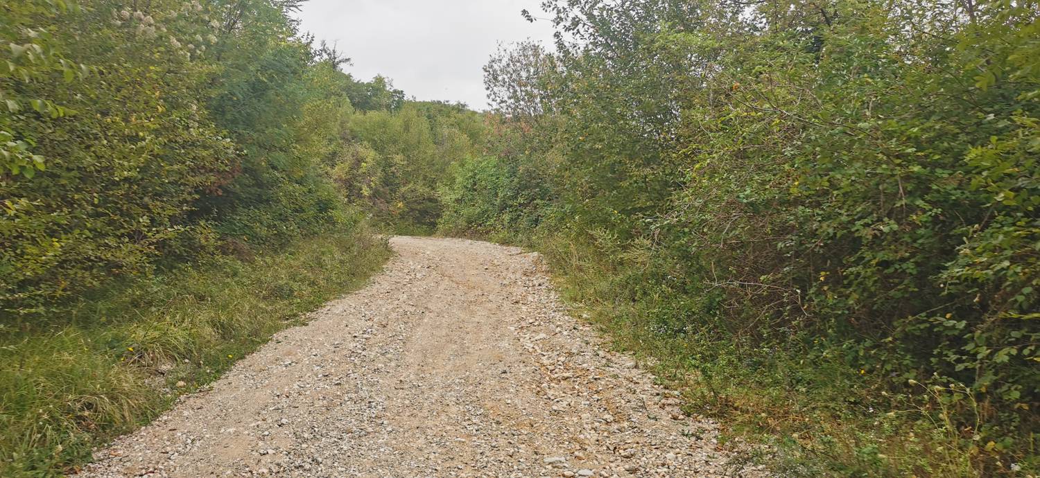 Grgar - Sveta gora slika 29