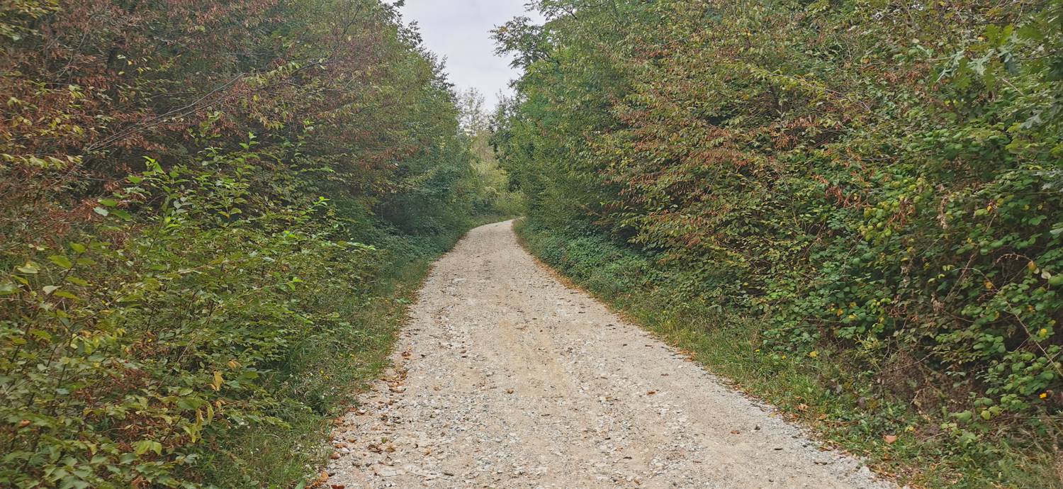 Grgar - Sveta gora slika 27