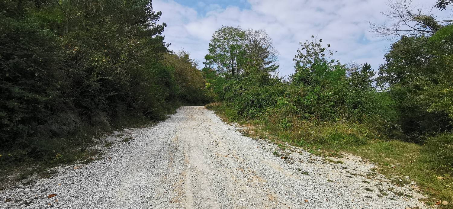 Grgar - Sveta gora slika 25