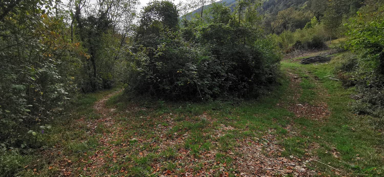 Grgar - Grgar slika 61