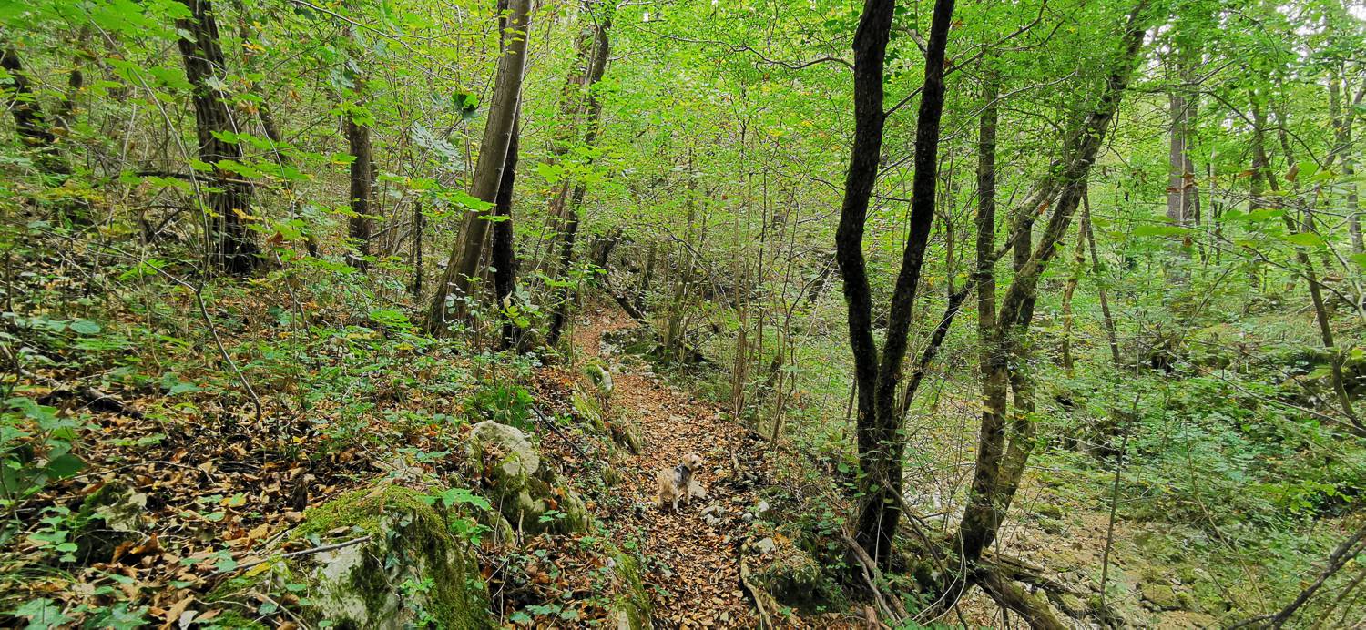 Grgar - Grgar slika 63