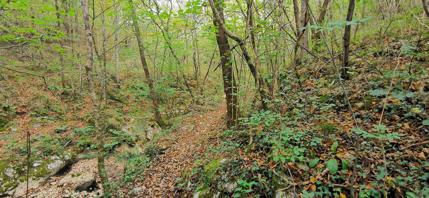 Grgar - Sveta gora slika 21