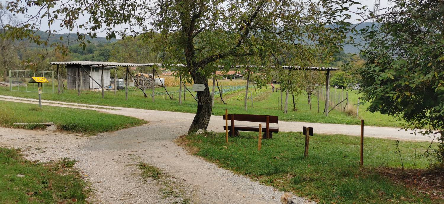 Grgar - Grgar slika 69