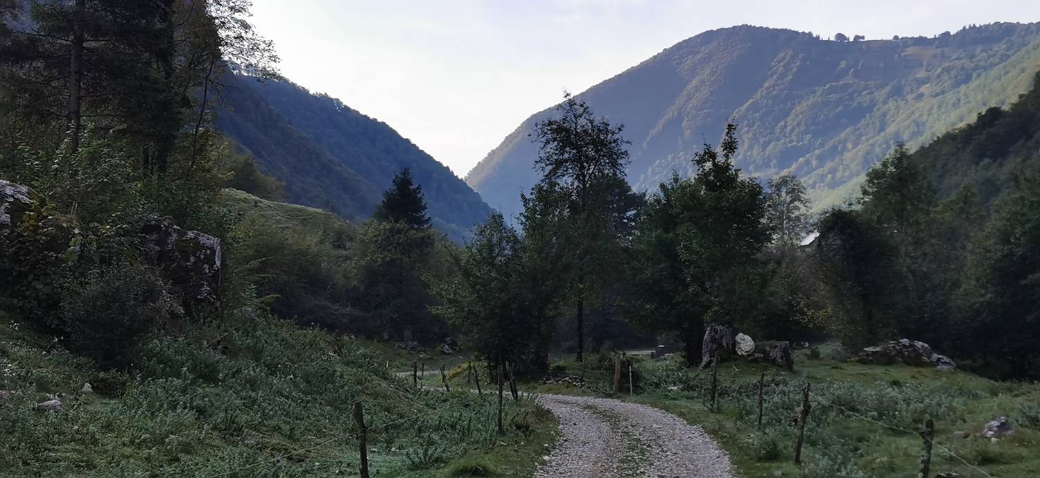 Planina Srednica - Planina Srednica slika 65