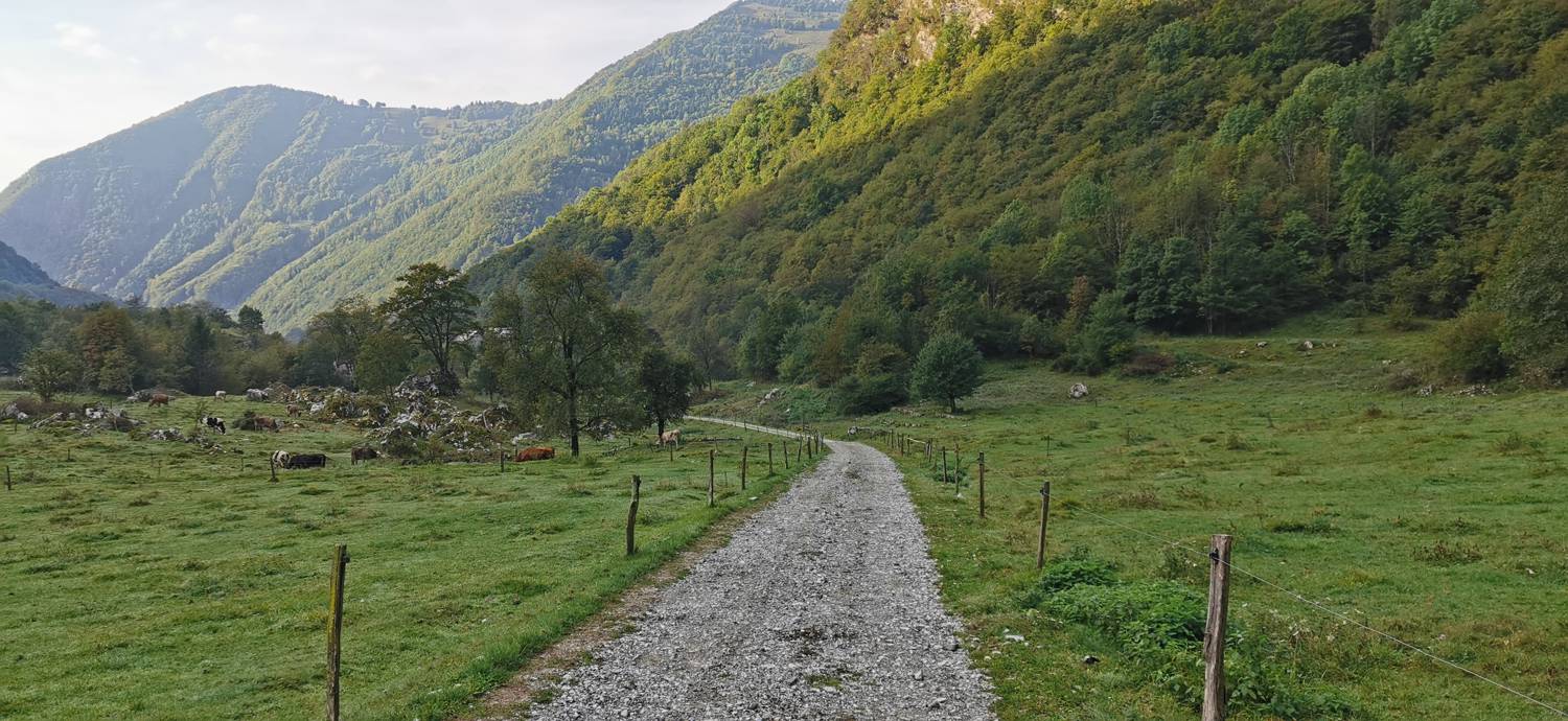 Planina Srednica - Planina Srednica slika 65
